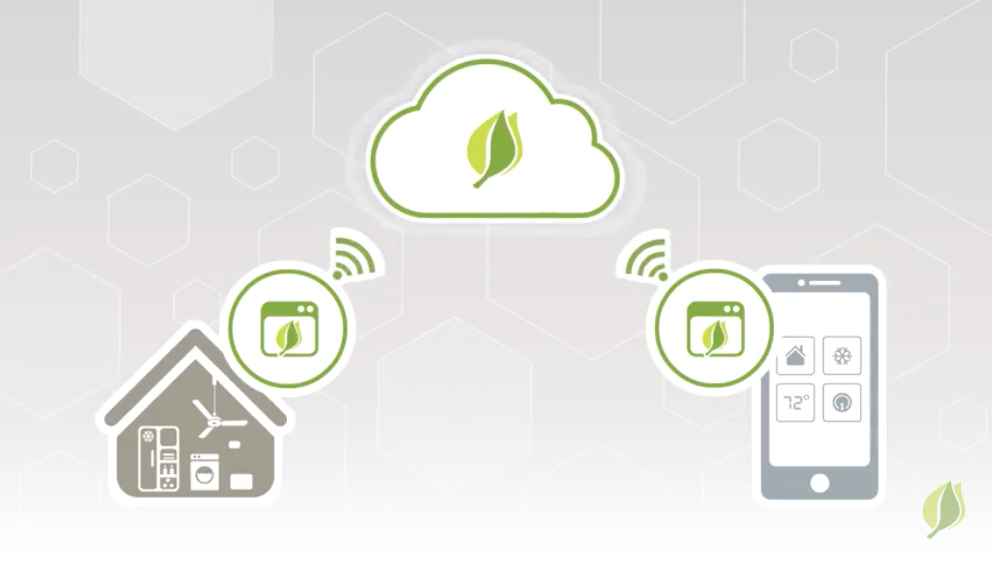 Screen Shot 2018-11-19 at 12.25.17 PM